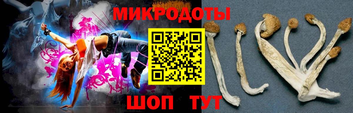 Галлюциногенные грибы Cubensis Кизляр
